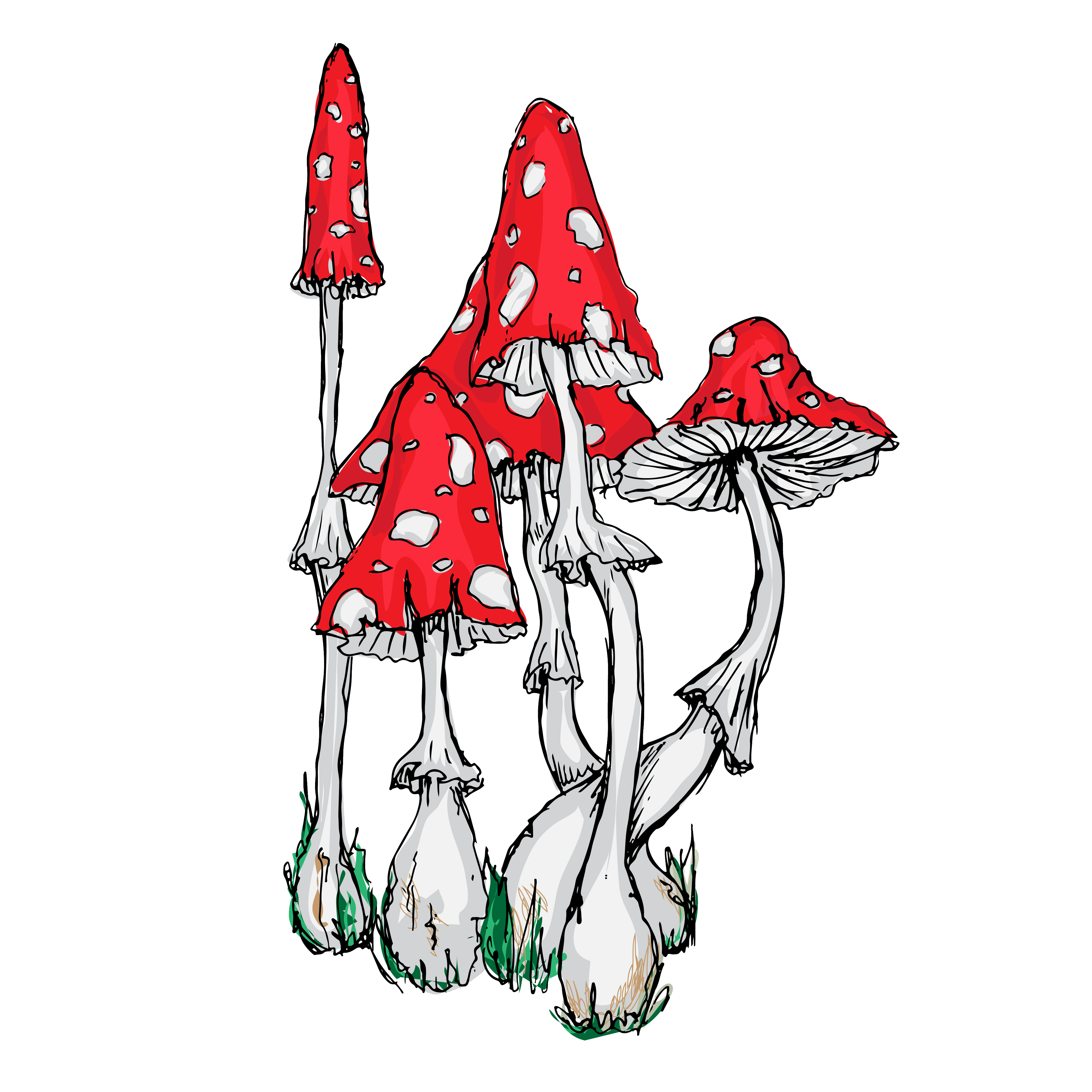 eat me mushrooms